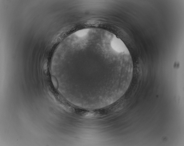 X0000112110504200909151227