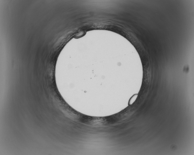 X0000112110505200909151227