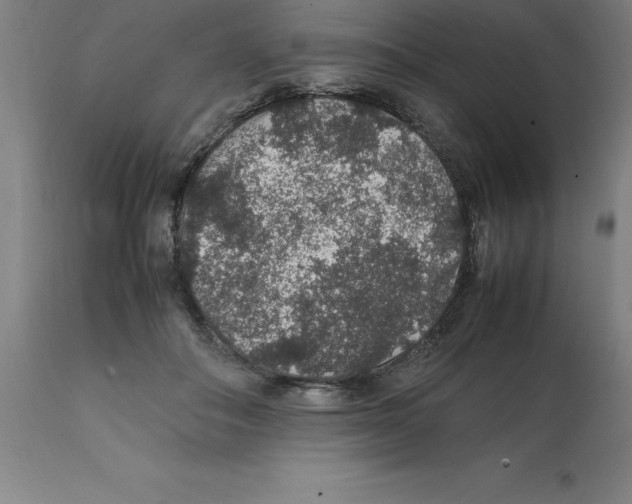 X0000112110506200909151227