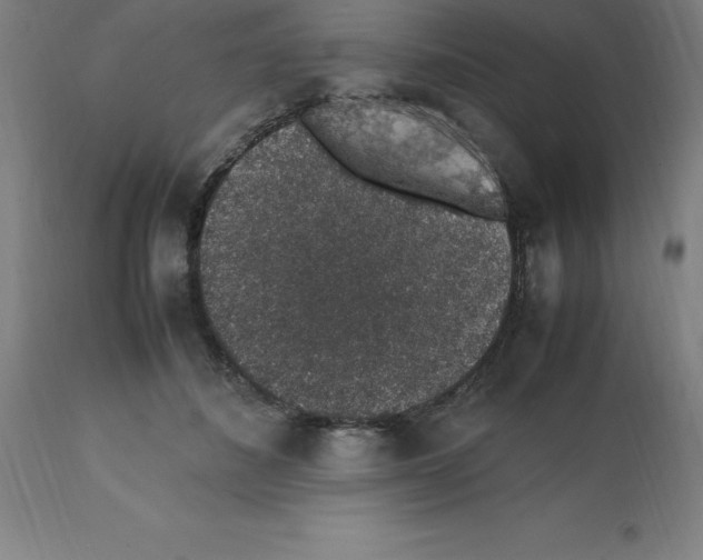 X0000112110508200909151227