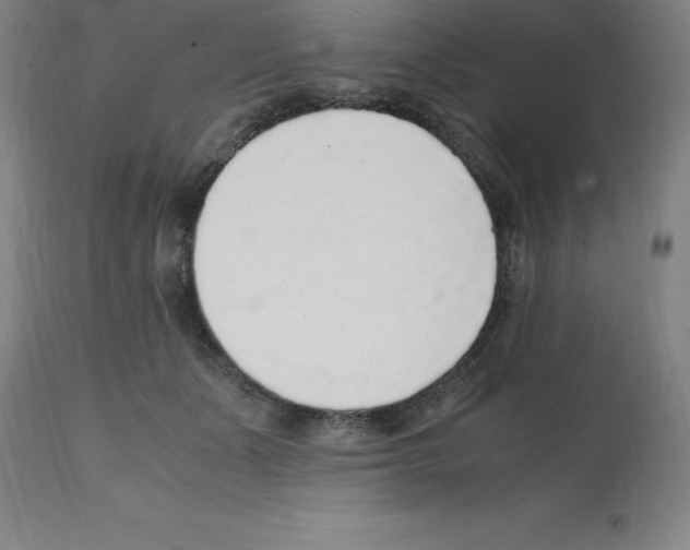 X0000112110511200909151227