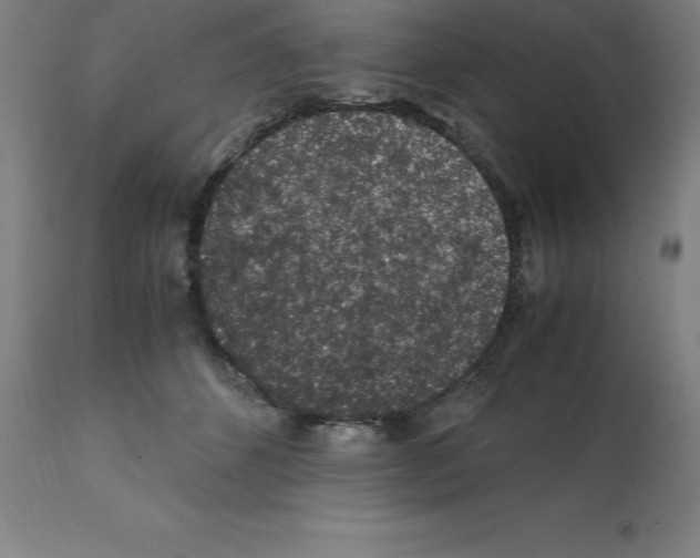 X0000112110512200909151227