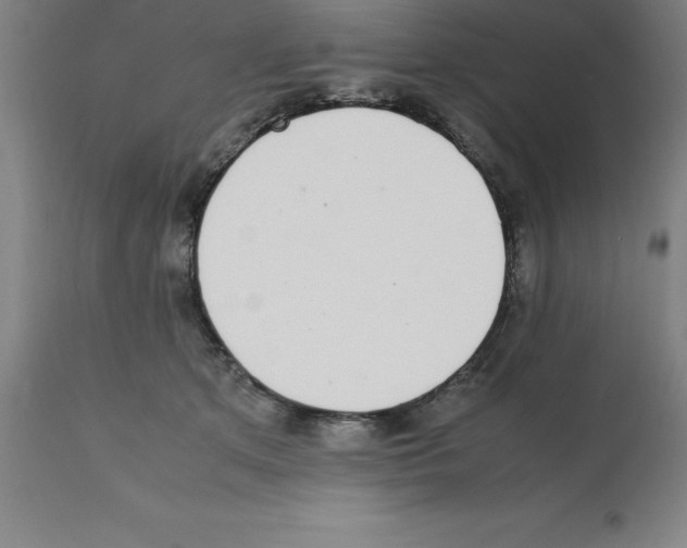 X0000112110513200909151227