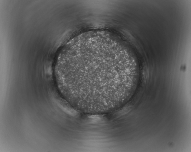 X0000112110516200909151227