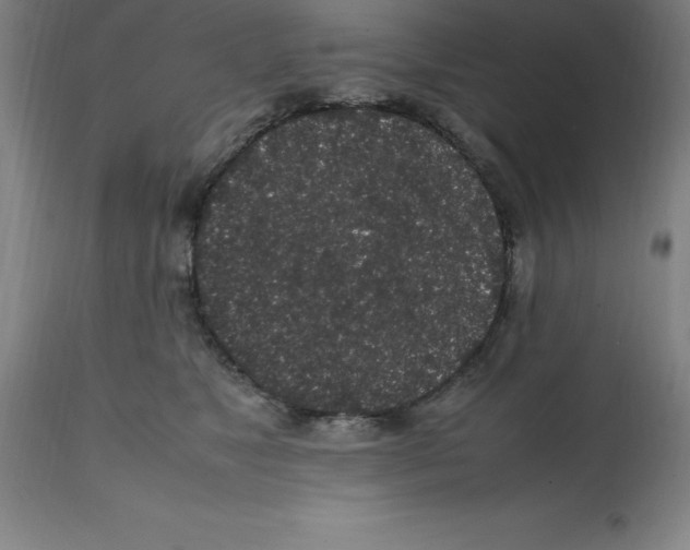 X0000112110517200909151227