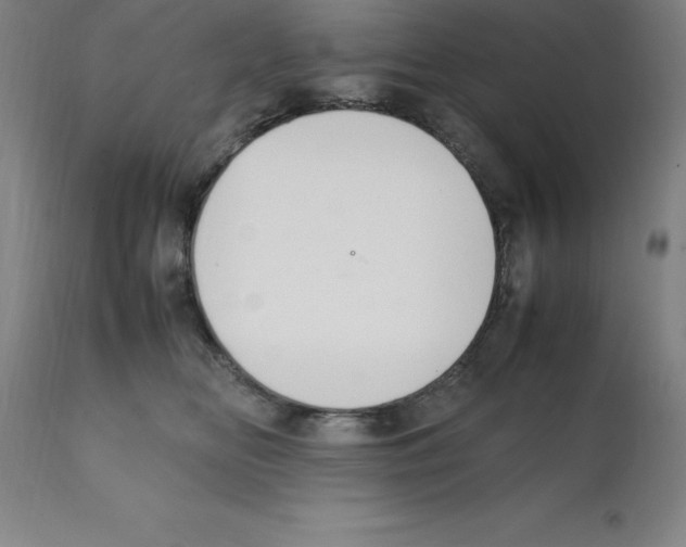 X0000112110518200909151227