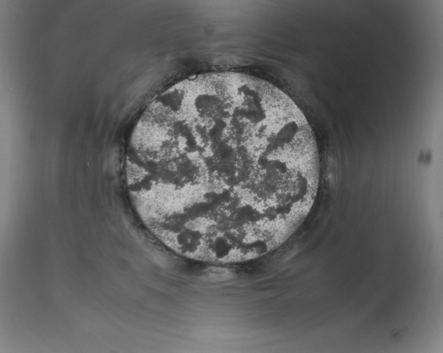 X0000112110519200909151227