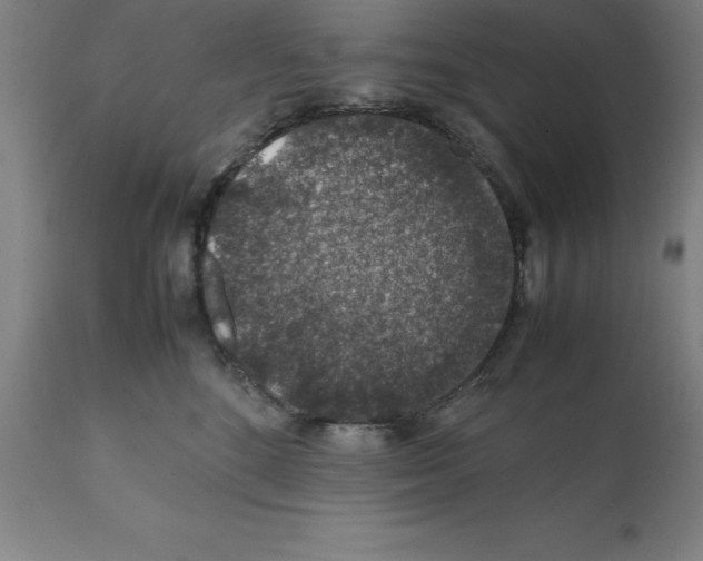 X0000112110520200909151227