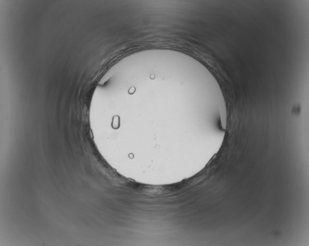 X0000112110521200909151227