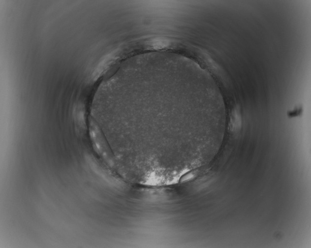 X0000112110524200909151227