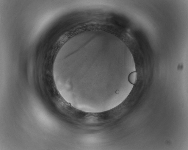 X0000112110526200909151227