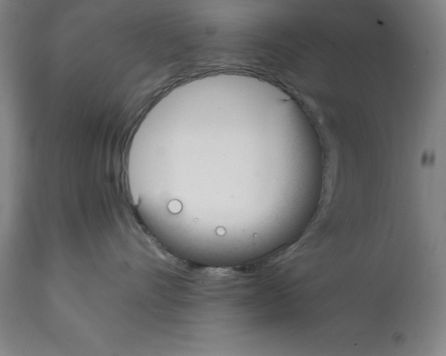 X0000112110528200909151227