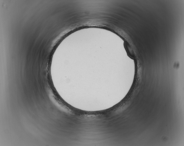 X0000112110530200909151226