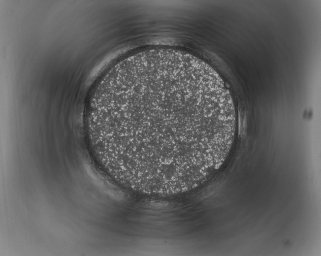 X0000112110531200909151226