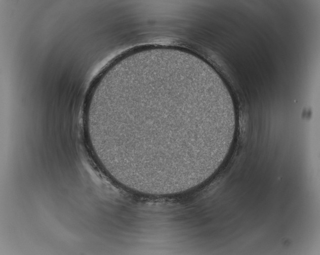 X0000112110532200909151226