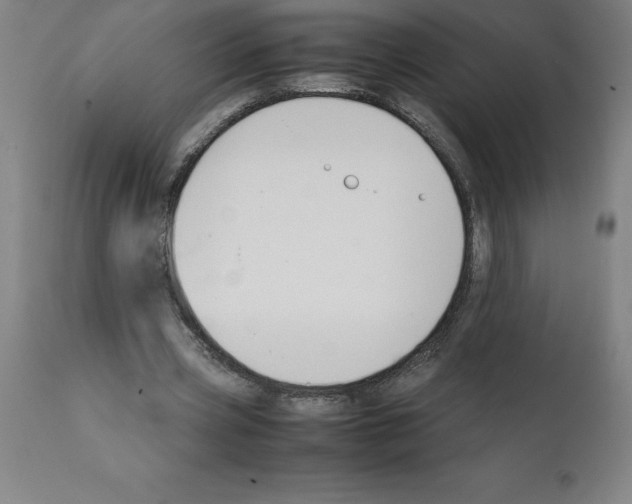 X0000112110533200909151226