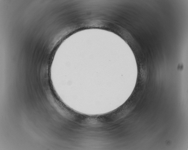 X0000112110534200909151226