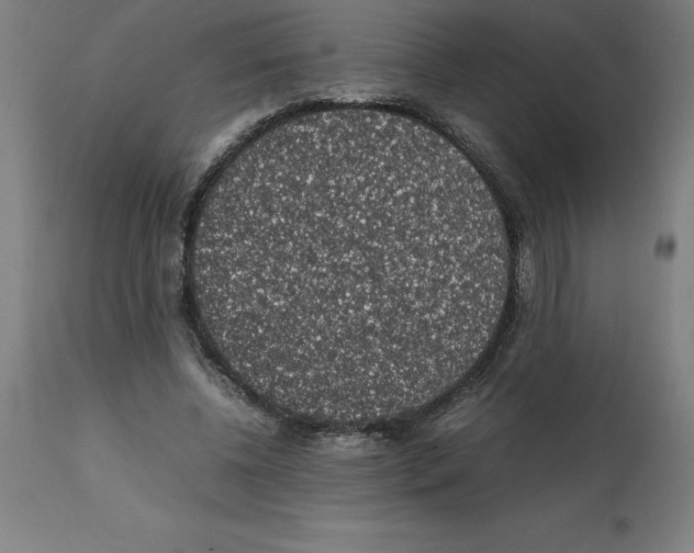 X0000112110540200909151226