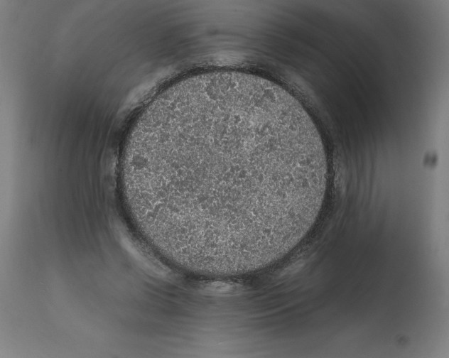 X0000112110542200909151226