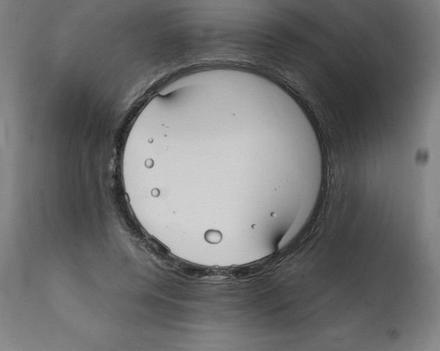 X0000112110544200909151226