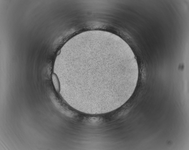 X0000112110546200909151226