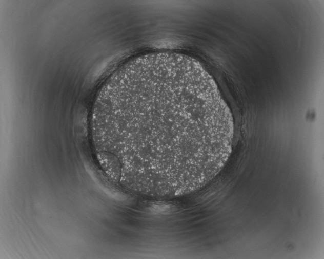 X0000112110547200909151226