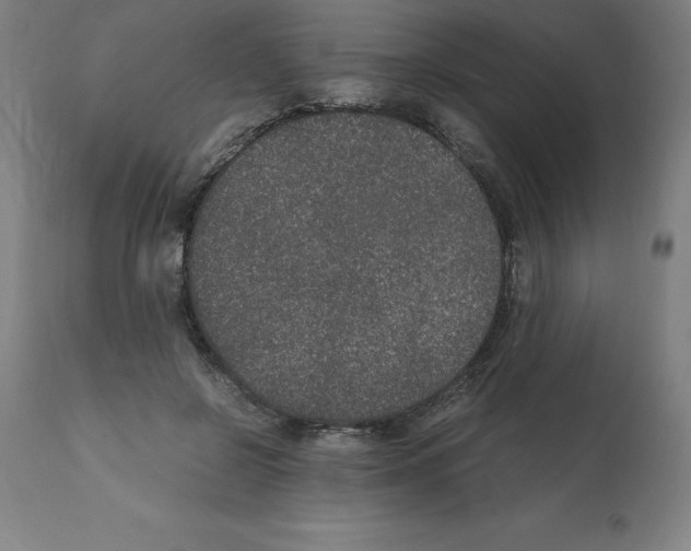 X0000112110550200909151226