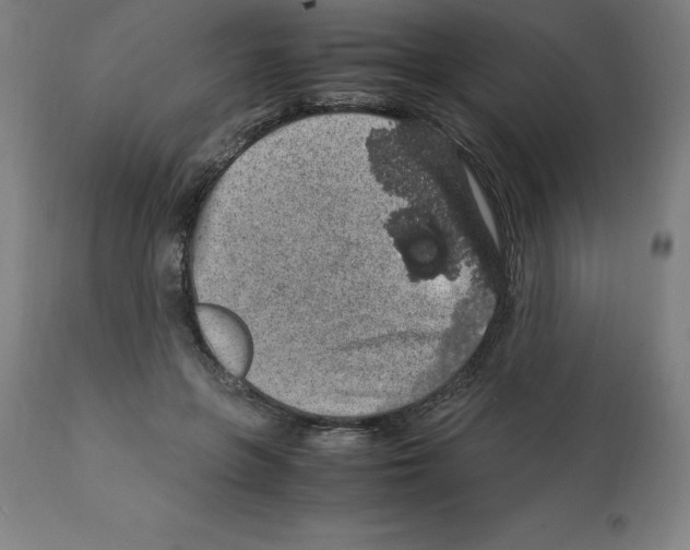 X0000112110551200909151226