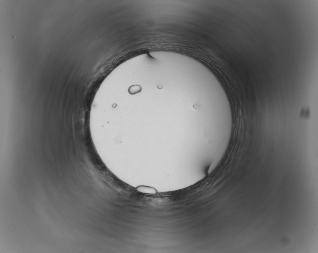 X0000112110552200909151226
