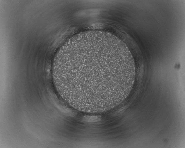 X0000112110553200909151226