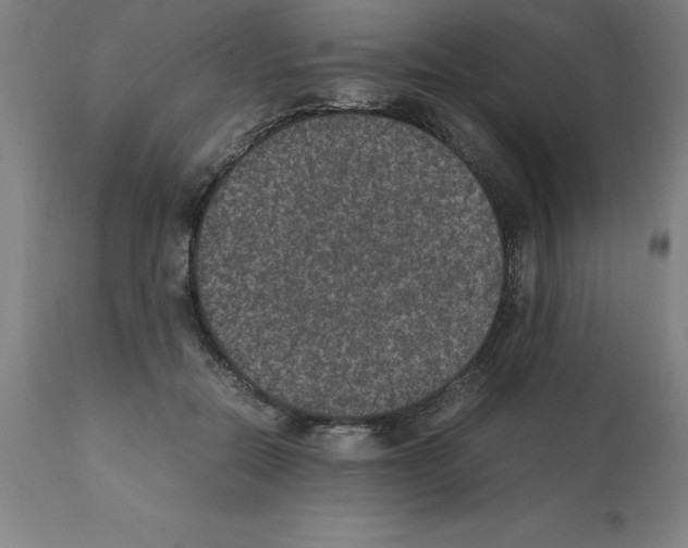 X0000112110554200909151226