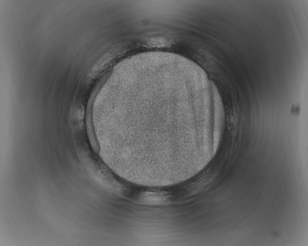 X0000112110556200909151226