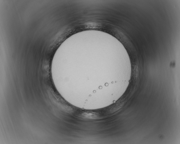 X0000112110557200909151226