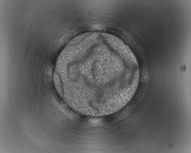 X0000112110560200909151226