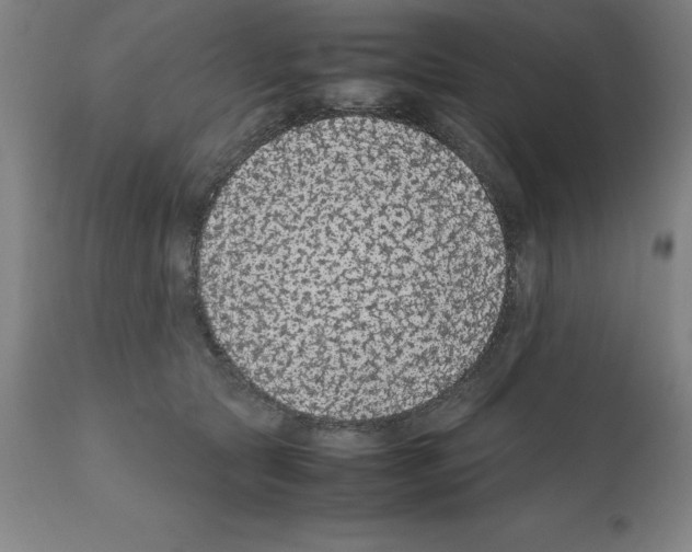 X0000112110561200909151226