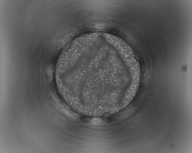 X0000112110562200909151227