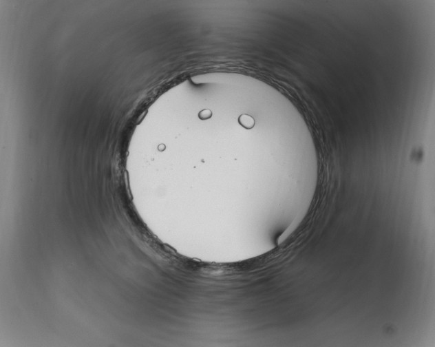 X0000112110564200909151227