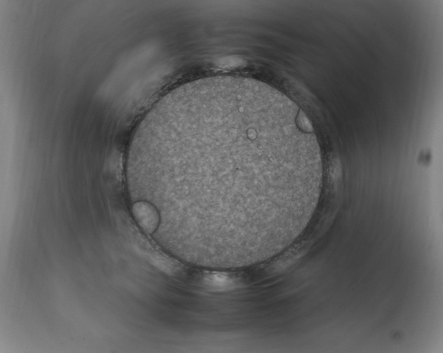 X0000112110565200909151227