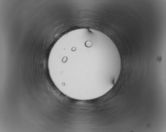 X0000112110568200909151227