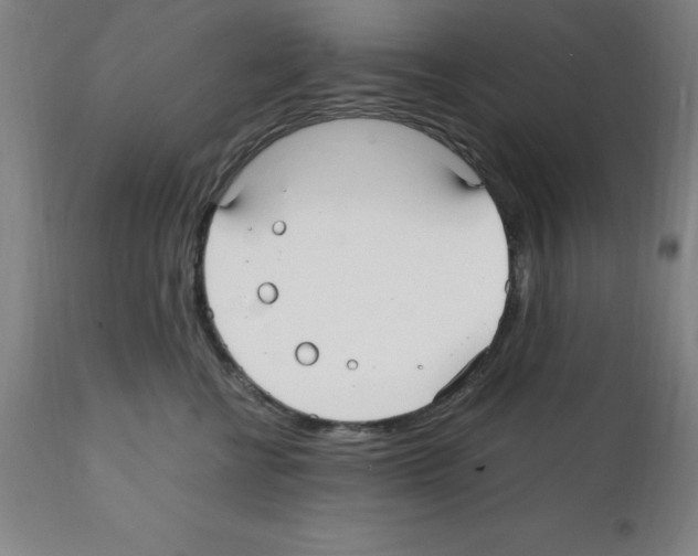 X0000112110570200909151227