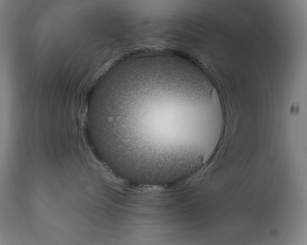 X0000112110576200909151227