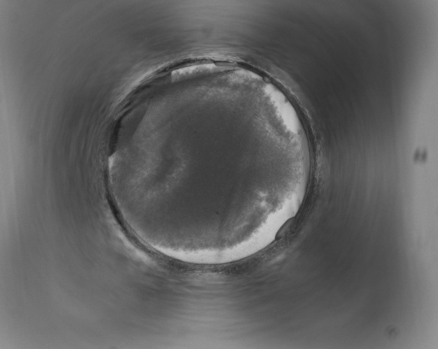X0000112110577200909151226