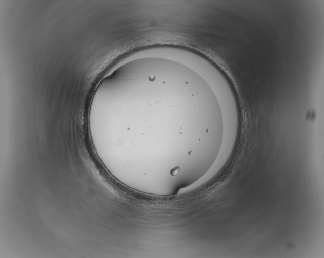 X0000112110581200909151226