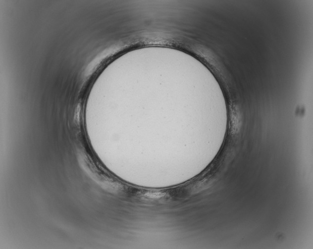 X0000112110583200909151226