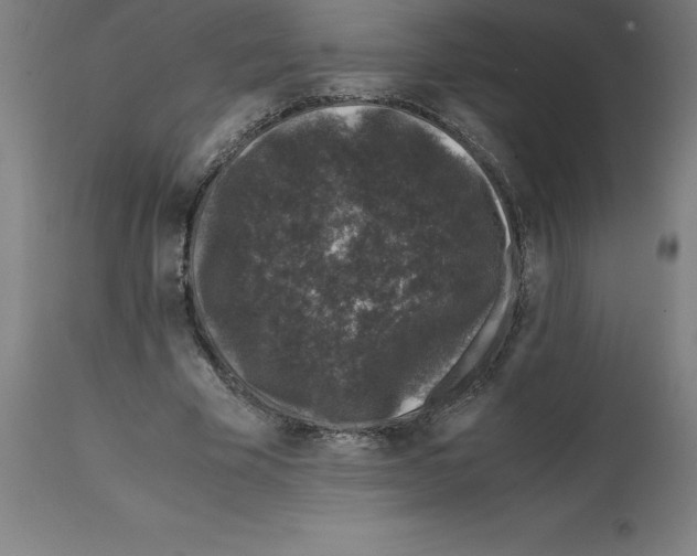 X0000112110585200909151226