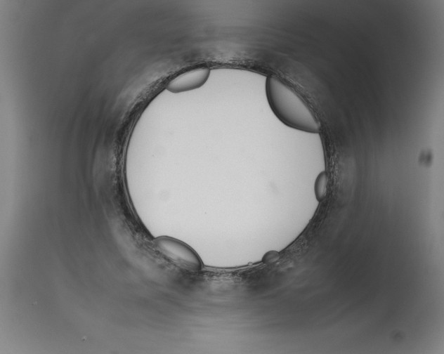 X0000112110587200909151226