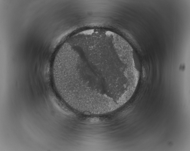 X0000112110588200909151226