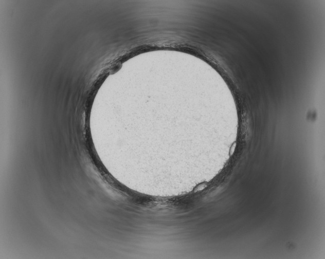 X0000112110589200909151226