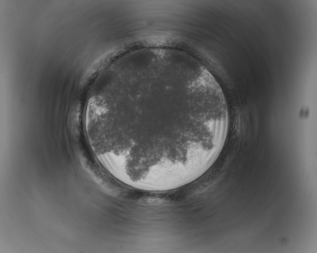 X0000112110590200909151226