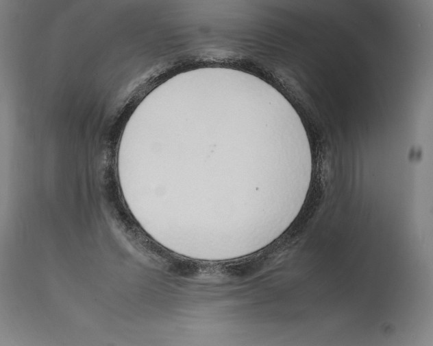 X0000112110591200909151226